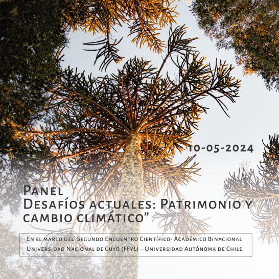 imagen Panel "Desafíos actuales: Patrimonio y cambio climático"