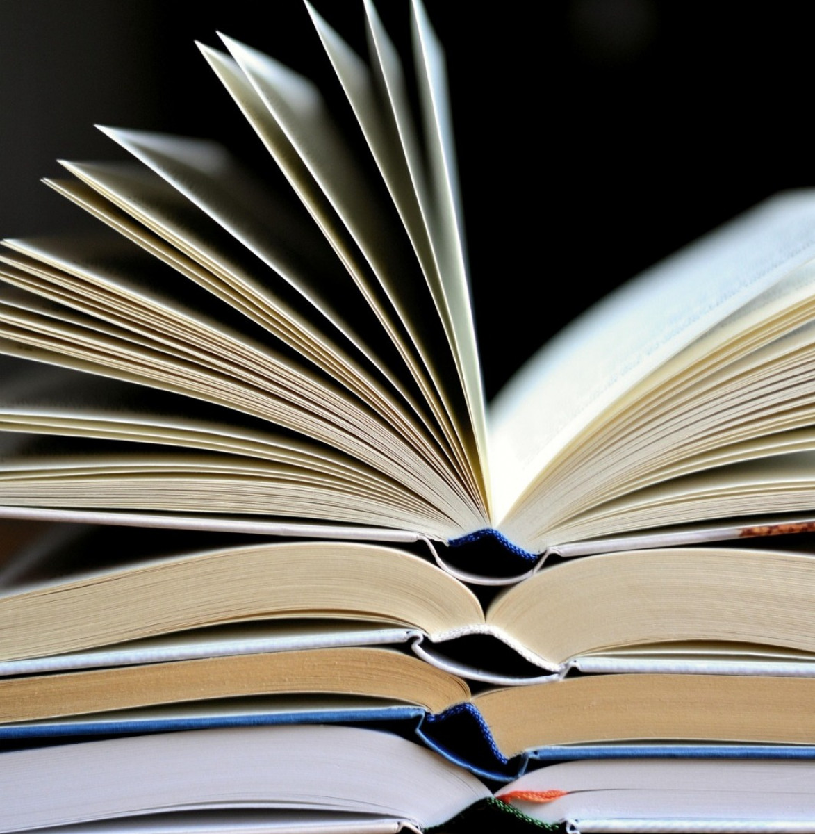 imagen Literatura infantil y juvenil: pieza clave para la adquisición de una lengua extranjera (Children’s and Young Adults’ Literature: a Cornerstone for Foreign Language Acquisition) 