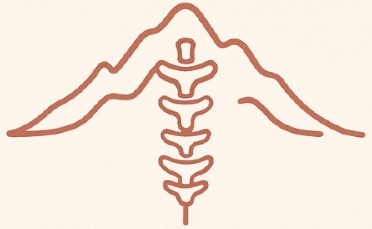 imagen VII Taller Nacional de Bioarqueología y Paleopatología