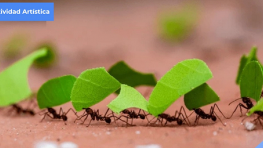 imagen "Las hormigas hacen mapas", una actividad artística por el Día Mundial de la Poesía