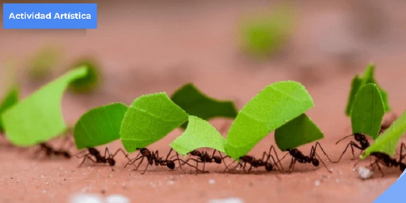 imagen "Las hormigas hacen mapas", una actividad artística por el Día Mundial de la Poesía