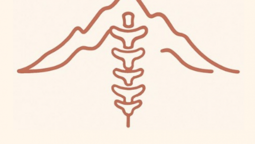 imagen Realizan el VII Taller Nacional de Bioarqueología y Paleopatología