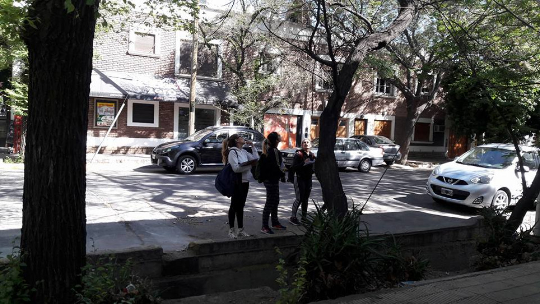 imagen Estudiantes de Geografía relevaron el arbolado urbano de la ciudad de Mendoza