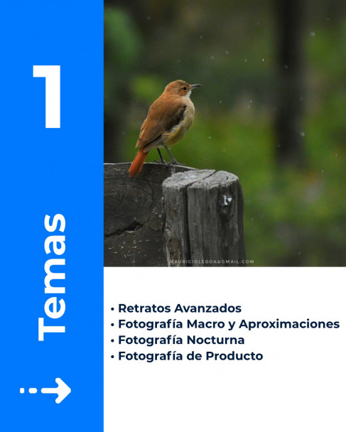 imagen Técnica, luz y mirada: abren la inscripción para el Nivel Avanzado del curso de fotografía digital en la FFyL