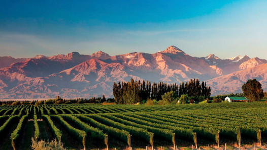 imagen Se realizará una Jornada por el Día Mundial del Enoturismo 