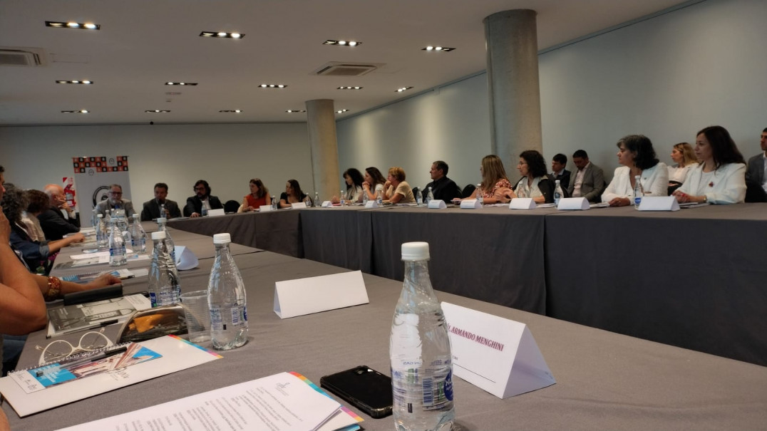 imagen 3º Plenario de ANFHE