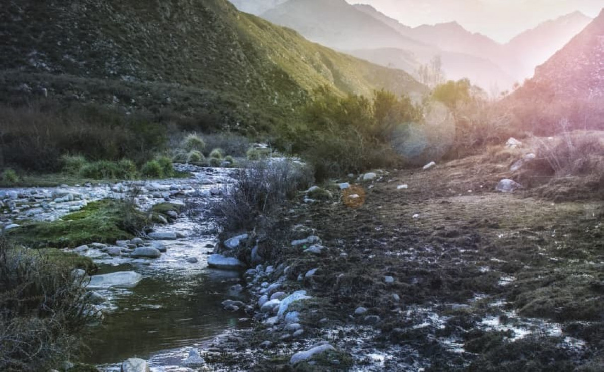 imagen Curso de fotografía digital. Uso de cámaras réflex y celulares