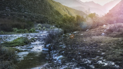 imagen Curso de fotografía digital. Uso de cámaras réflex y celulares