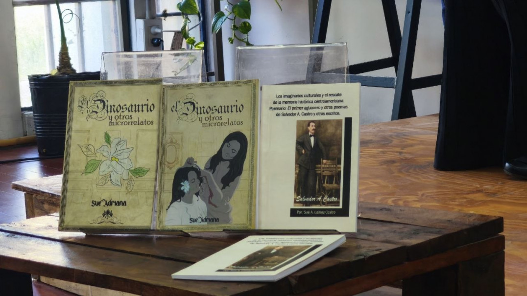 imagen La escritora y doctoranda Sué Laínez  presentó sus nuevos libros en la FFyL