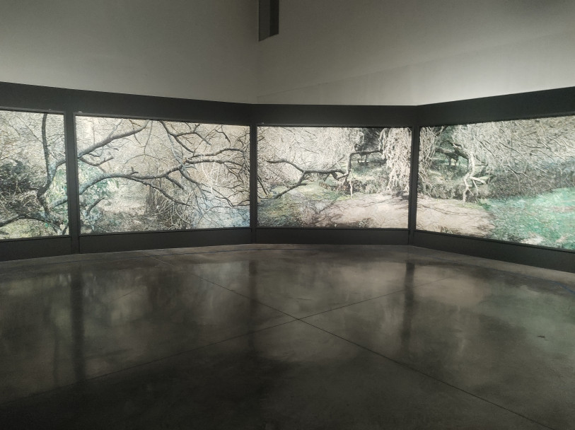 imagen Estudiantes de Historia realizaron recorridos por destacados museos y espacios patrimoniales de Cuyo