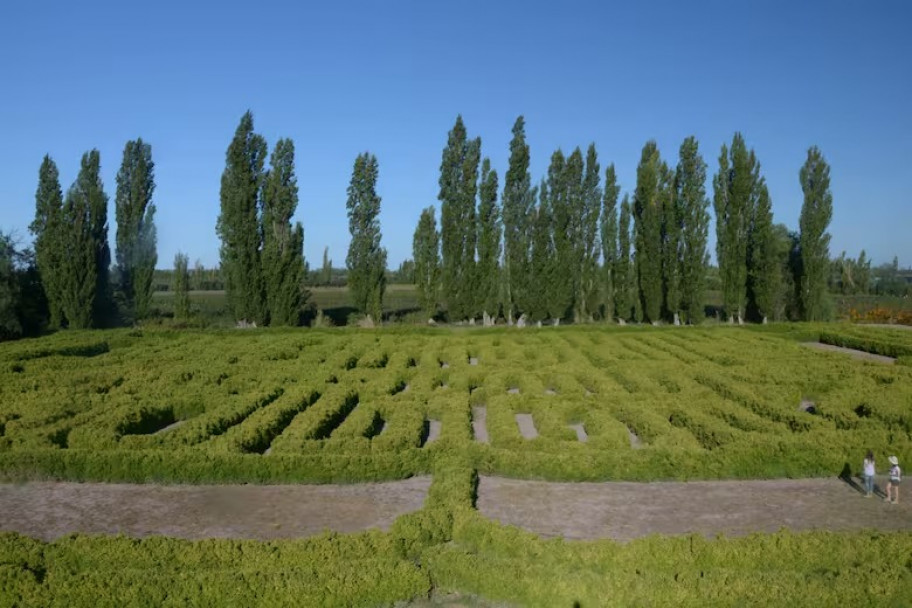 imagen El laberinto borgeano está ubicado en la Finca Los Álamos, en San Rafael, Mendoza