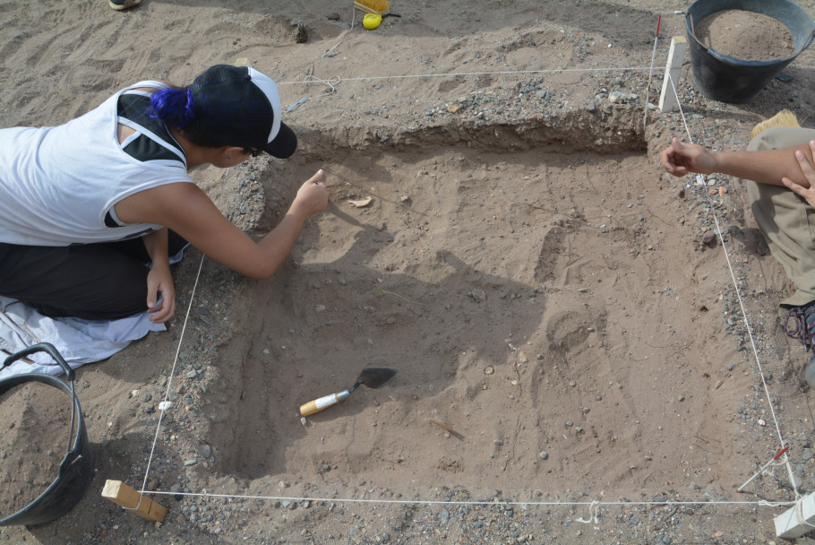 imagen Estudiantes de la carrera de Arqueología participan en excavaciones   
