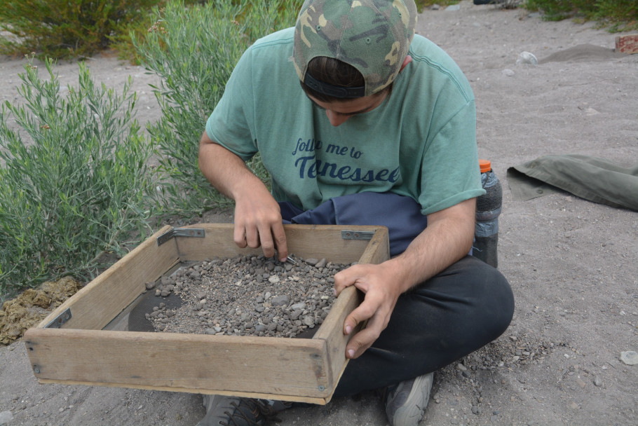 imagen Estudiantes de la carrera de Arqueología participan en excavaciones   