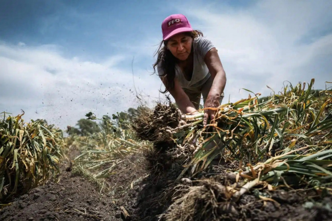imagen ¿Transicionar a qué? Las trampas que esconde el horizonte sostenible de la agroecología