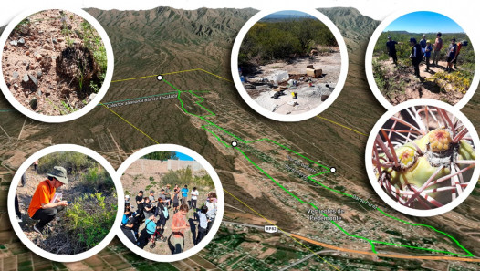 imagen ¿Cuáles son los desafíos de un área ambiental de rápida expansión urbana?