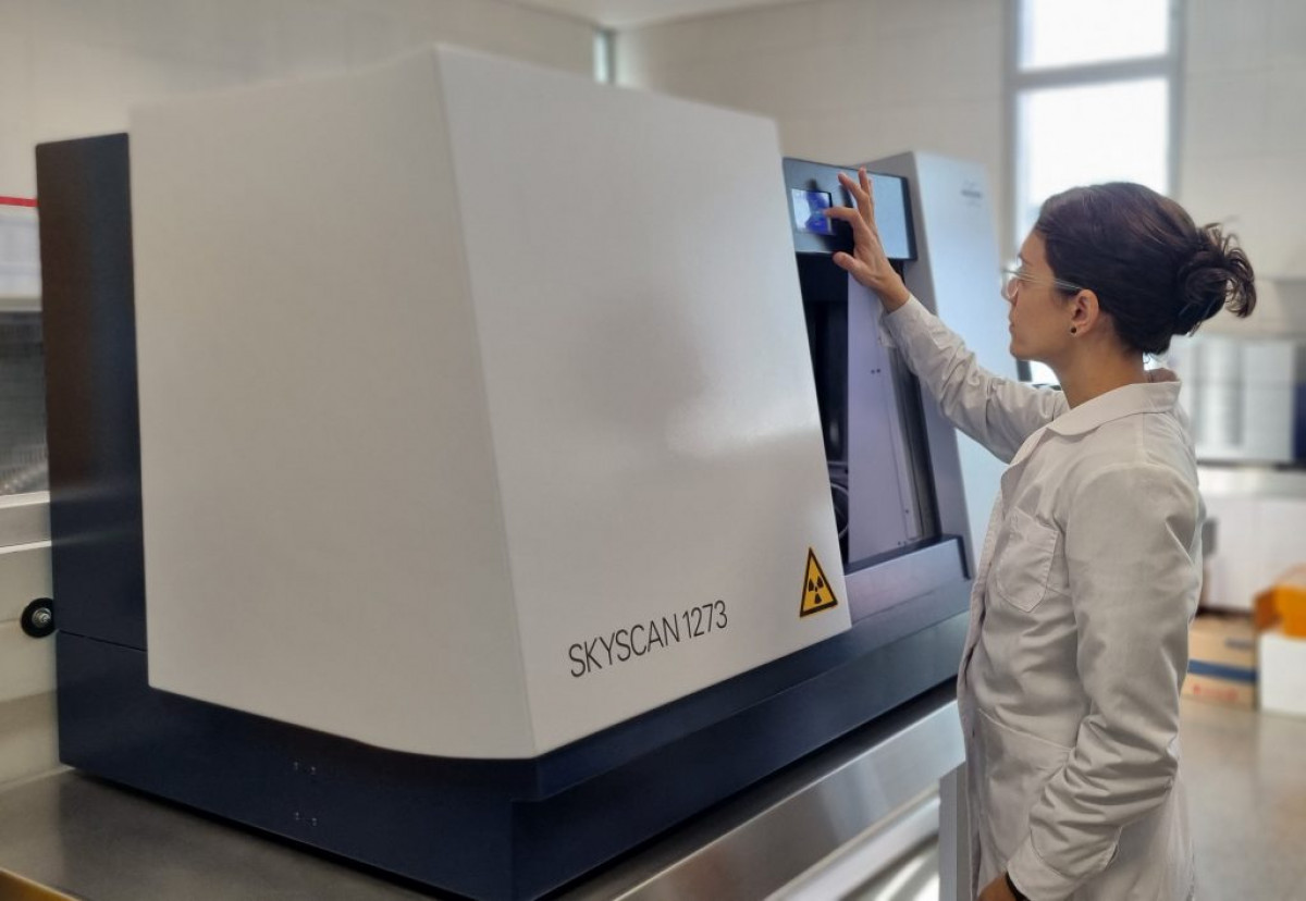 imagen Análisis cuantitativo de imágenes 3D para la estimación del sexo