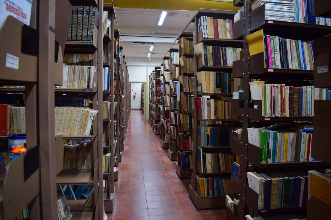 imagen Préstamos especiales de la Biblioteca por receso estival