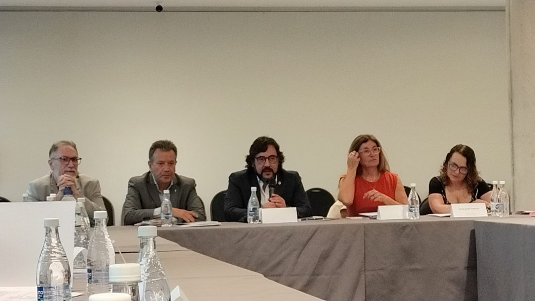 imagen 3º Plenario de ANFHE