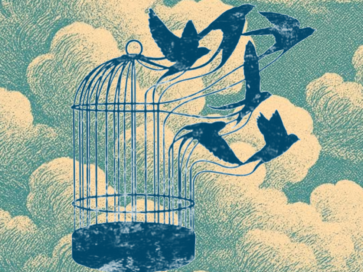 imagen Liberá un poema: lectura y circulación de literatura en la UNCuyo