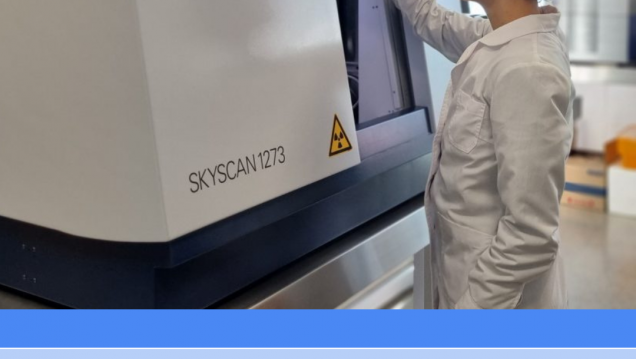 imagen Dictarán un cursillo sobre análisis de imágenes 3D 