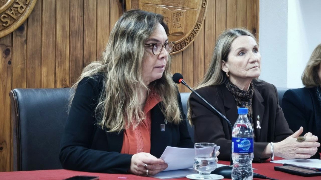 imagen Voces y debates en la UNCuyo: Se inauguró el II Congreso Internacional de la Red Internacional Multidisciplinar en Estudios de Género (RIMEG)