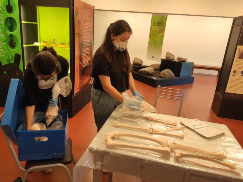 imagen Bioarqueología: Se realizó una actividad de análisis y reconocimiento de restos óseos