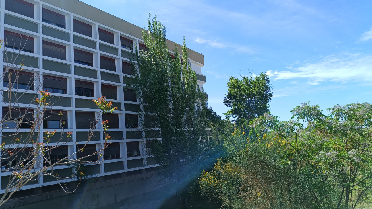 imagen Concurso de Personal de Apoyo Académico para cumplir funciones en el Departamento de Despacho, Producción y Revisión