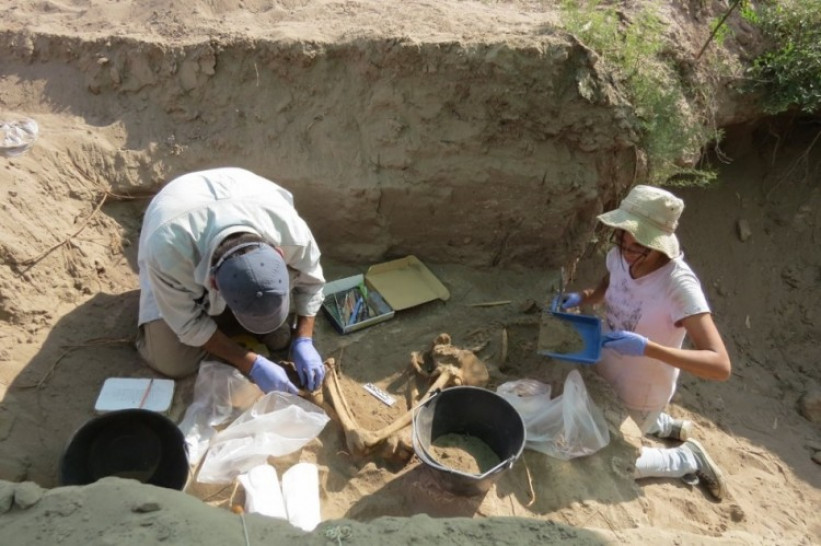 imagen Nueva Carrera en Posgrado: Doctorado en Arqueología