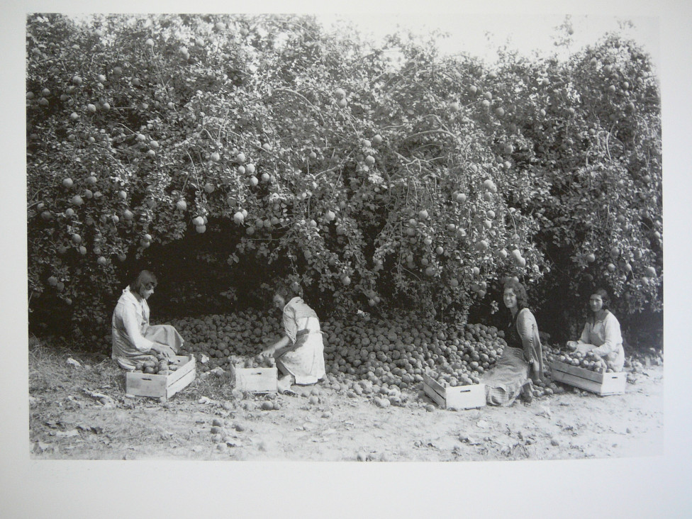 imagen Se dictará un Curso de Posgrado sobre la historia agraria desde una perspectiva de género