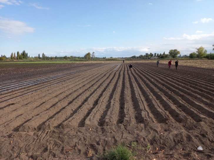imagen El 96% de quienes cultivan en una zona productiva de Mendoza utiliza agroquímicos peligrosos