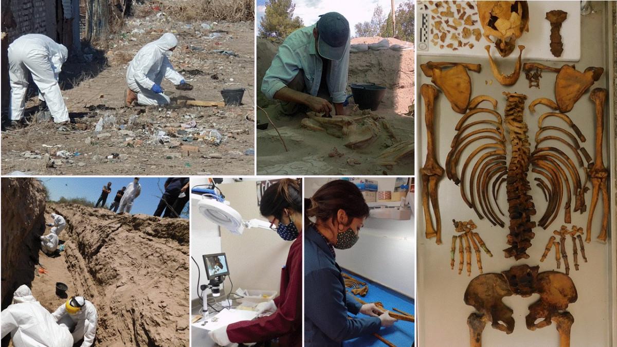 imagen La ciencia al servicio de la justicia y los derechos humanos: antropología forense en clave local