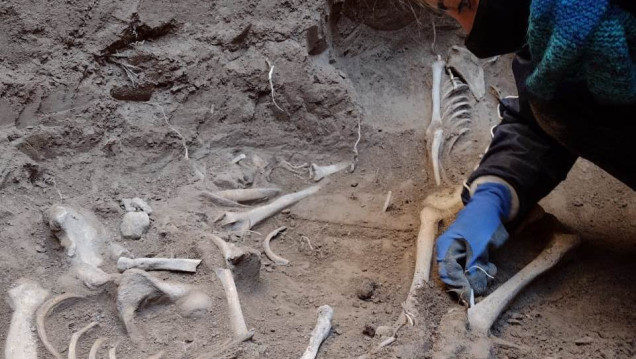 imagen Importante hallazgo arqueológico en el Departamento de Rivadavia