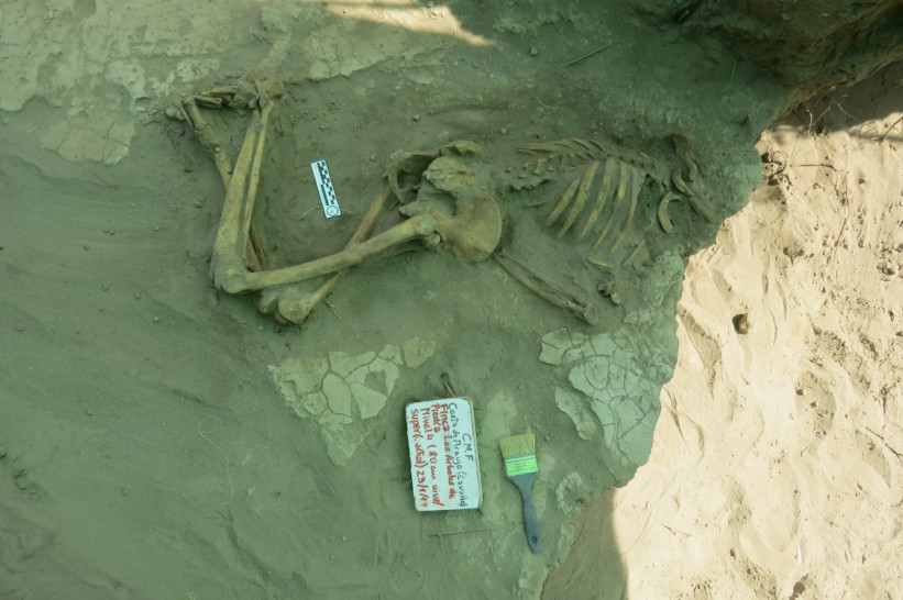 imagen La Arqueología en lo "no convencional": Teoría y praxis desde el campo forense
