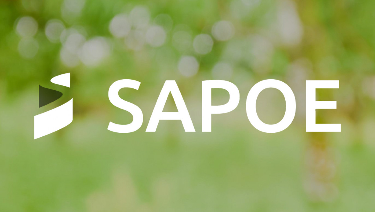 imagen SAPOE - Servicio de Apoyo Pedagógico y Orientación a Estudiantes 